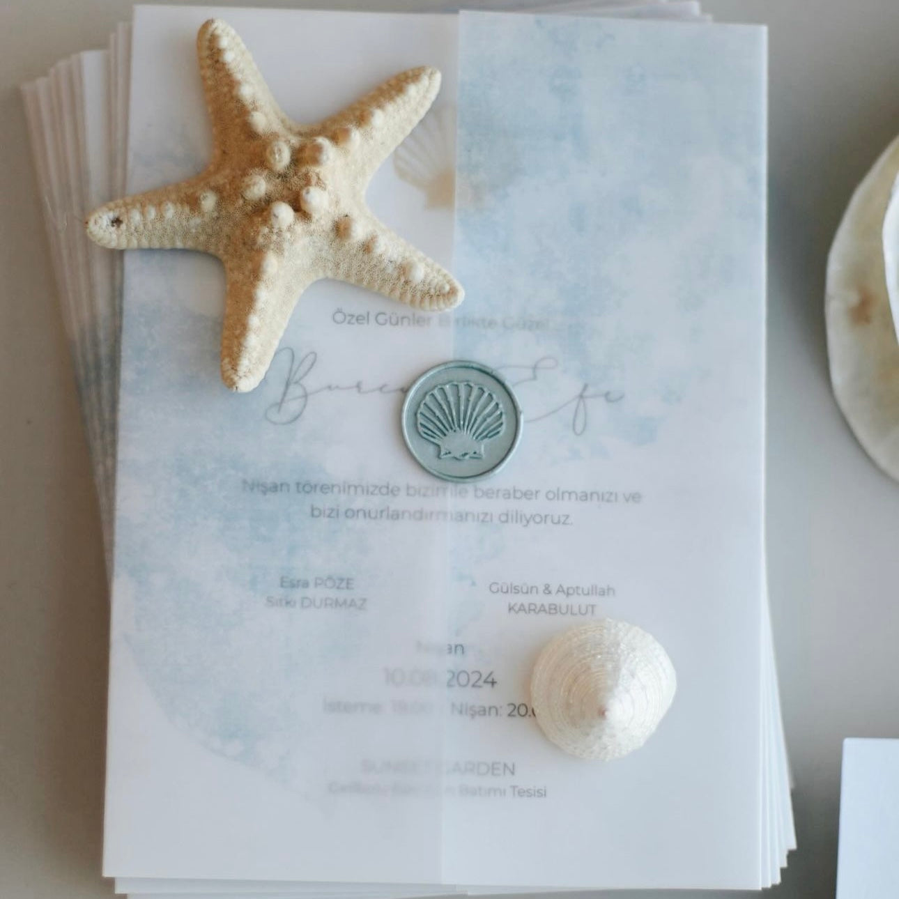 Faire-part « Coquillage » 🐚